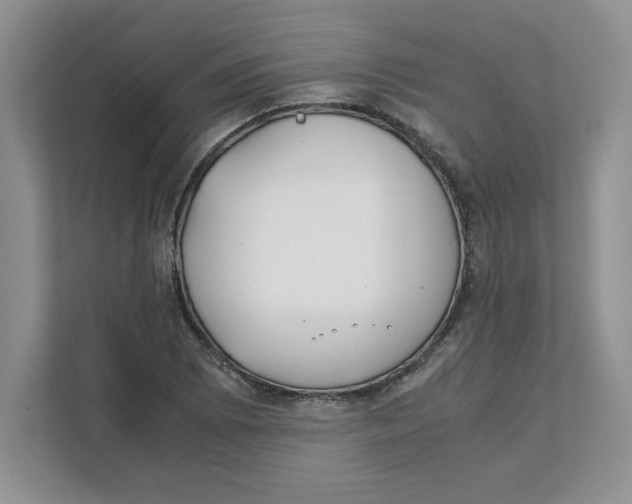 X0000111491073200908041137