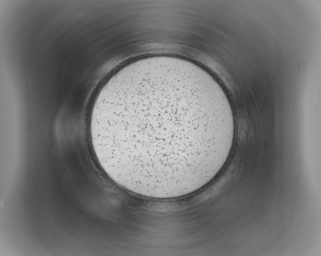 X0000111491074200908041137