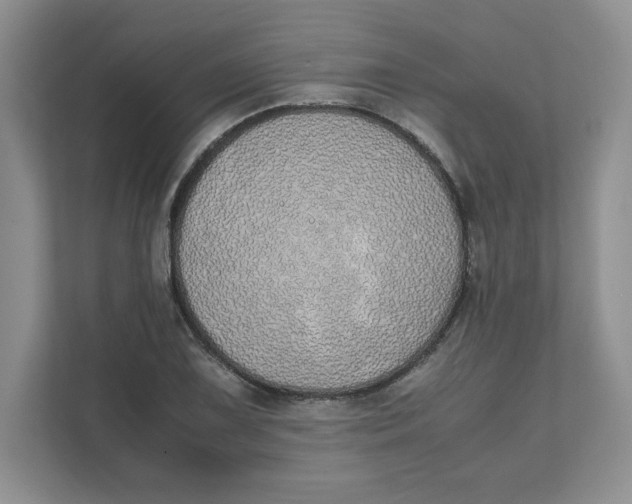 X0000111491075200908041137