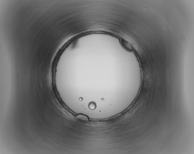 X0000111491076200908041137