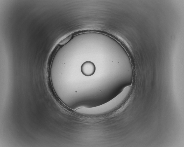 X0000111491077200908041137