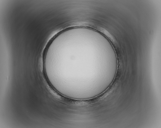 X0000111491079200908041137