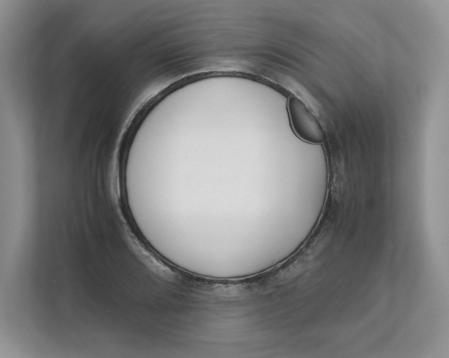 X0000111491080200908041137