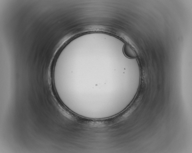 X0000111491082200908041137