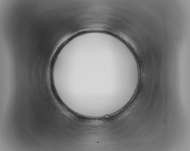 X0000111491085200908041137