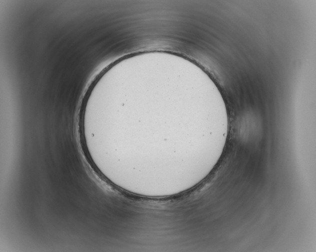 X0000111491086200908041137