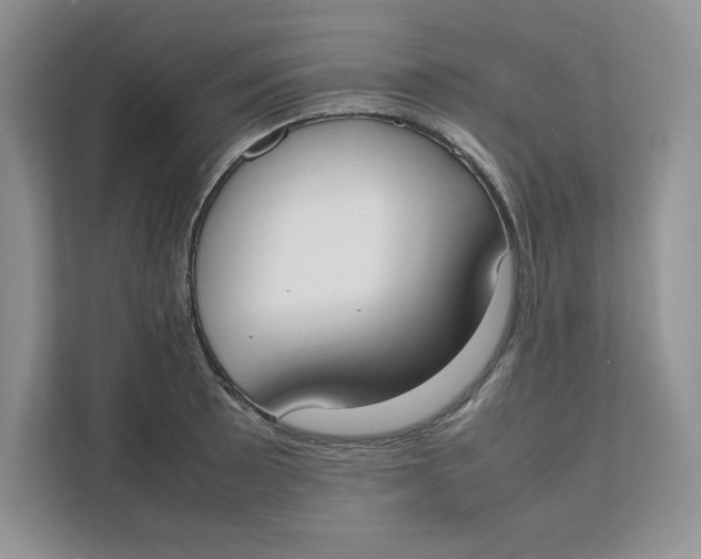 X0000111491089200908041137