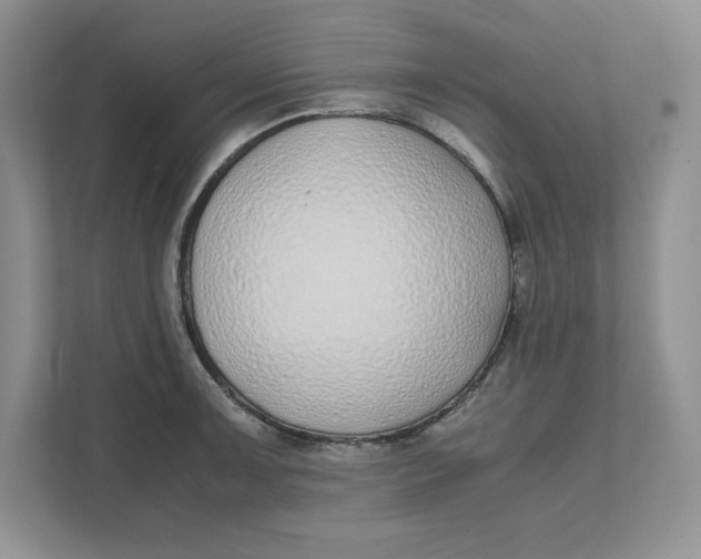 X0000111491091200908041137