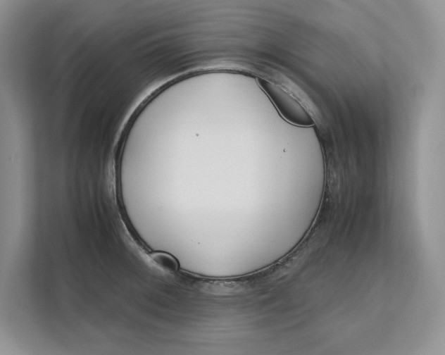 X0000111491092200908041137