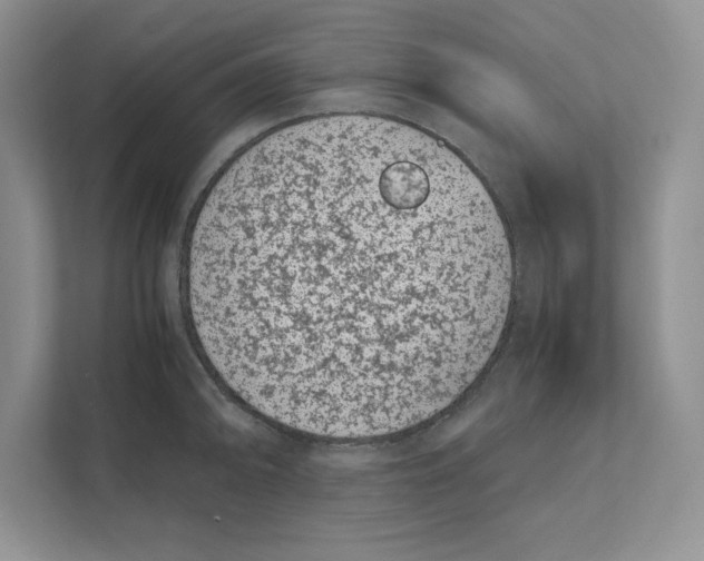 X0000111491094200908041137