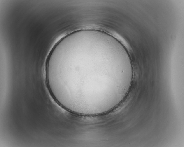X0000111491095200908041137
