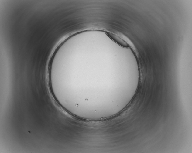 X0000111491096200908041137