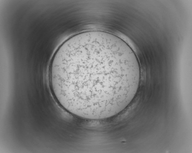 X0000111491098200908041137
