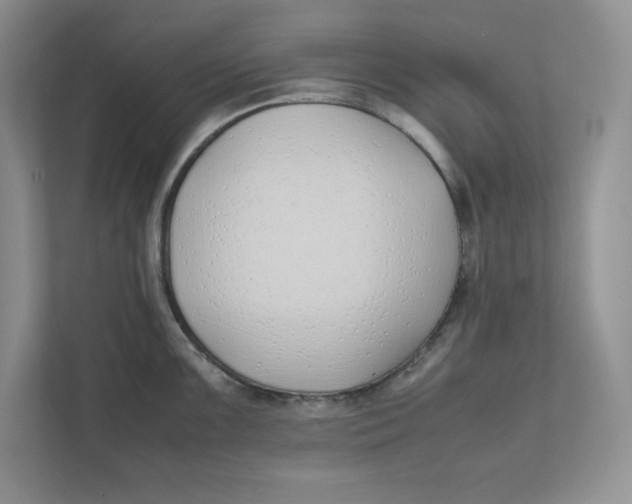 X0000111491099200908041137