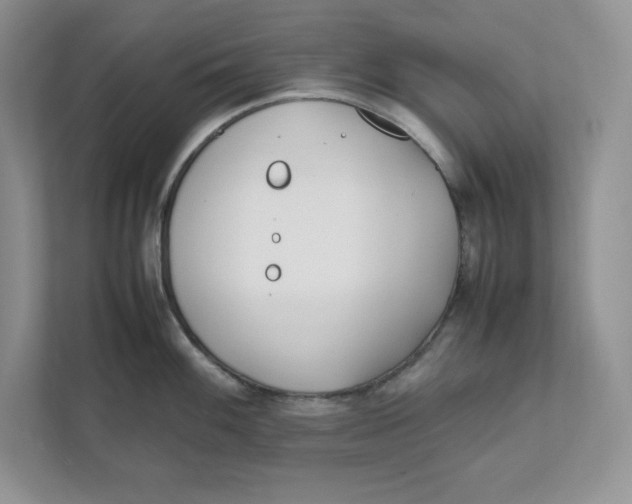X0000111491100200908041137