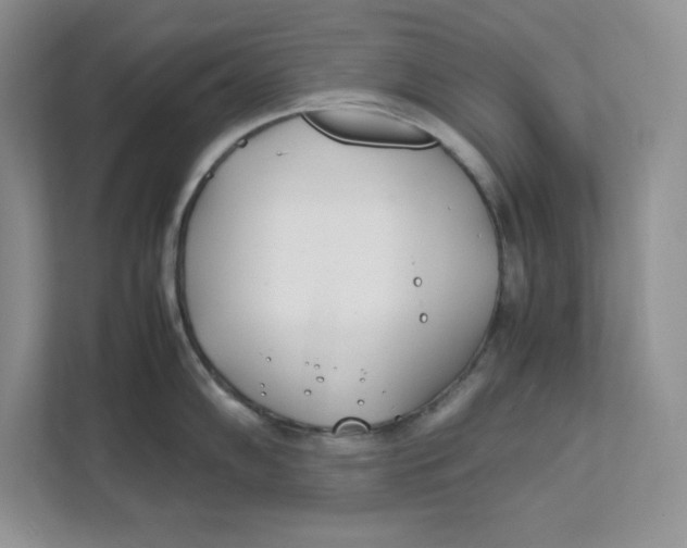 X0000111491102200908041137