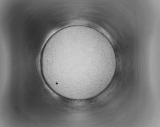 X0000111491103200908041137