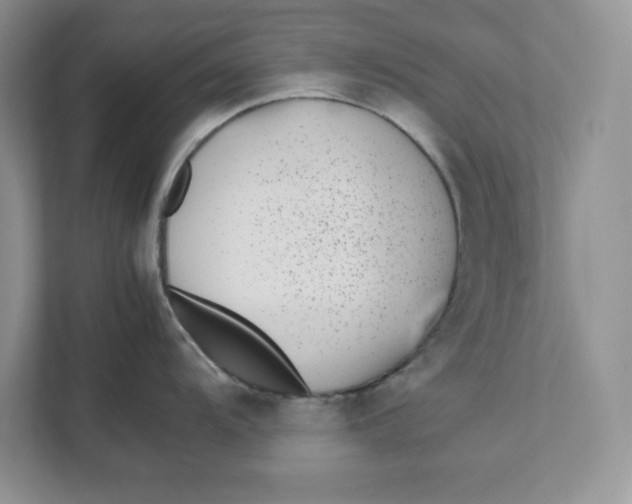 X0000111491104200908041137