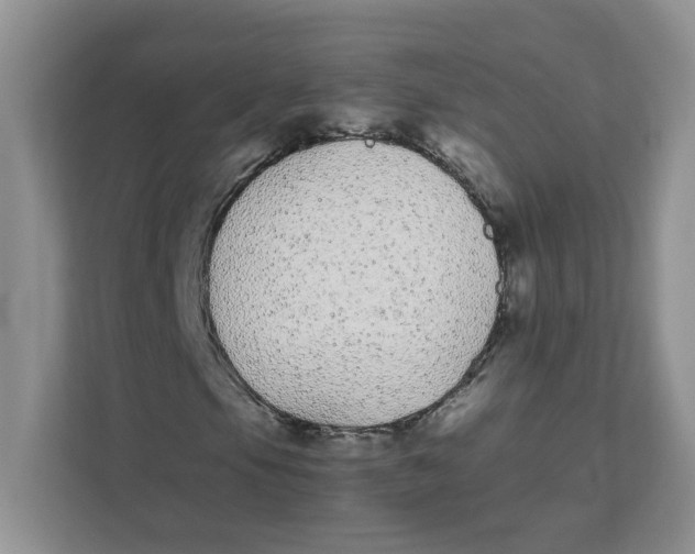 X0000111491105200908041136