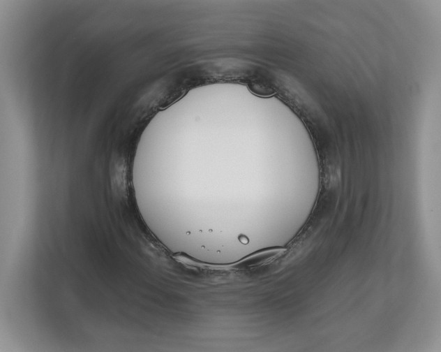 X0000111491108200908041136