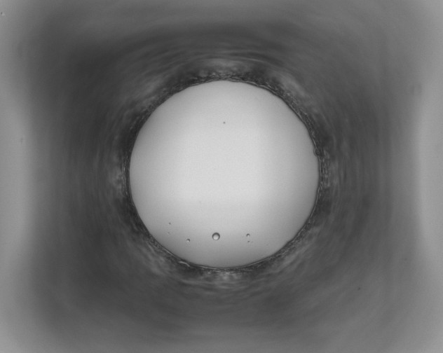 X0000111491109200908041136