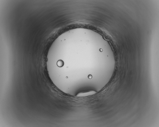 X0000111491110200908041136