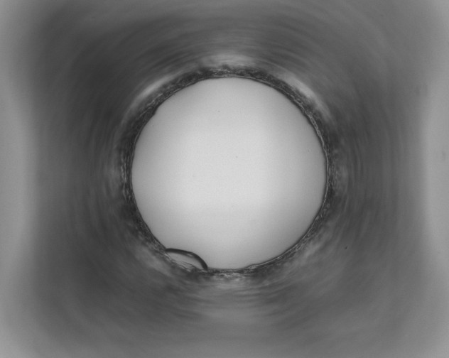 X0000111491112200908041136