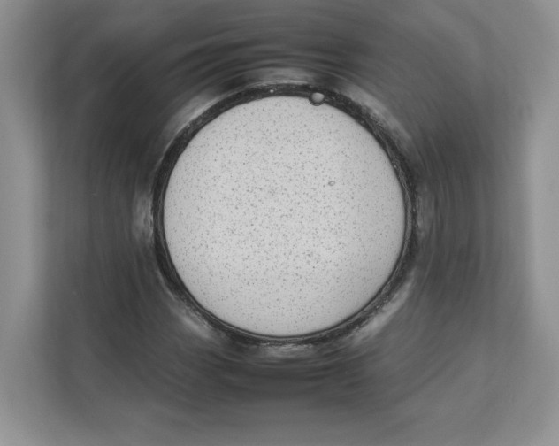 X0000111491113200908041136