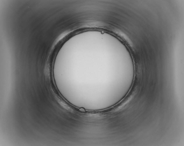 X0000111491114200908041136