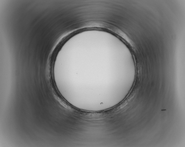 X0000111491116200908041136