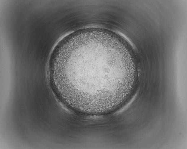 X0000111491117200908041136