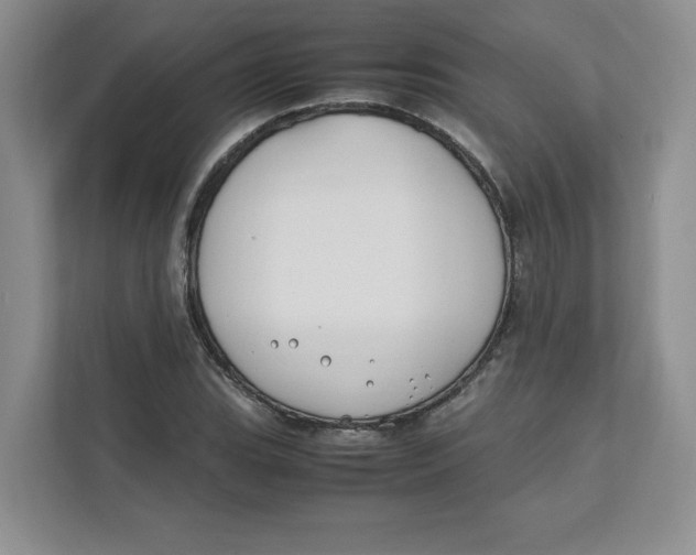 X0000111491119200908041137
