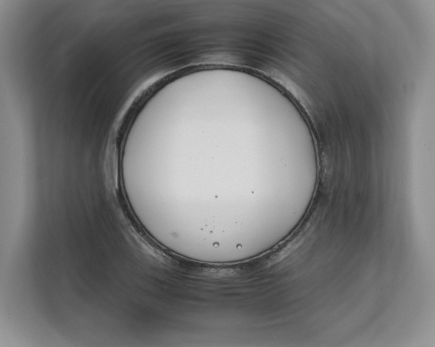 X0000111491123200908041137