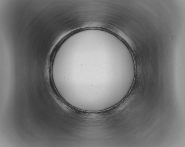 X0000111491124200908041137