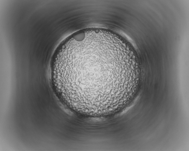 X0000111491125200908041137