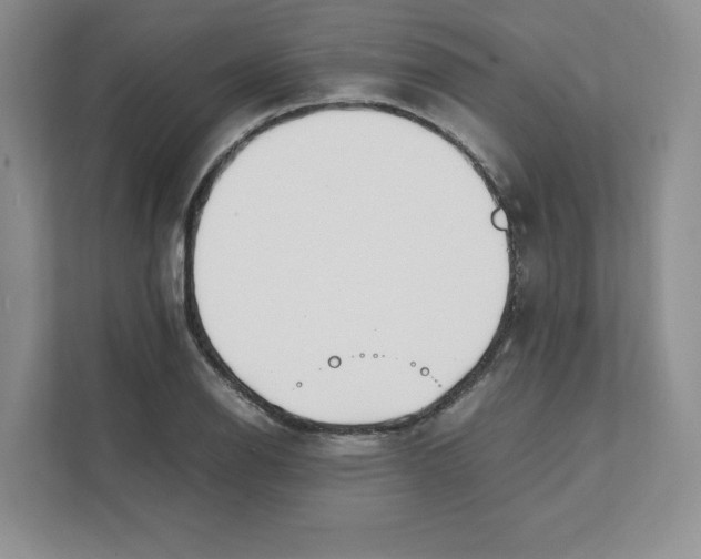 X0000111491126200908041137