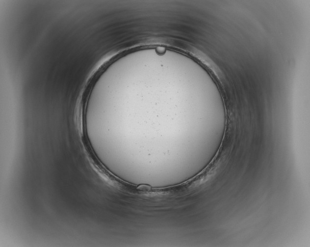 X0000111491127200908041137