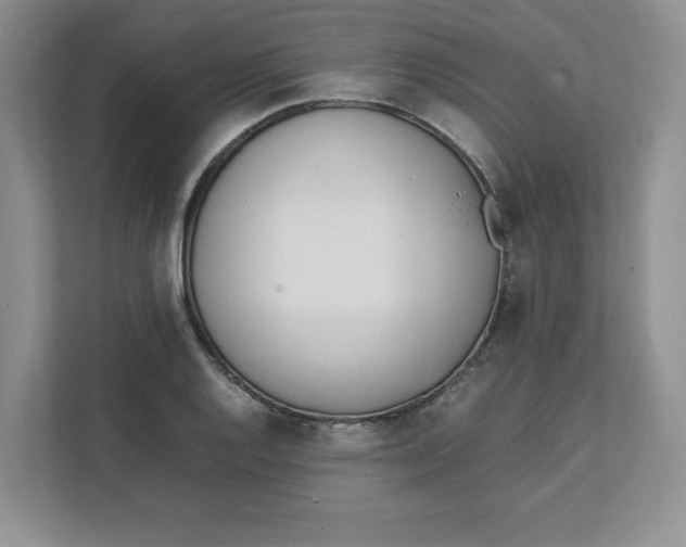 X0000111491128200908041137