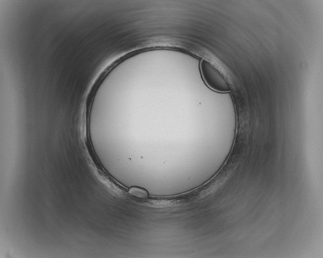 X0000111491132200908041137
