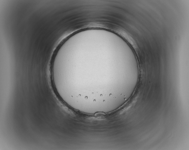 X0000111491133200908041137