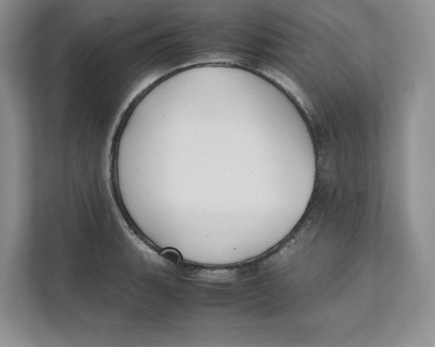 X0000111491135200908041137