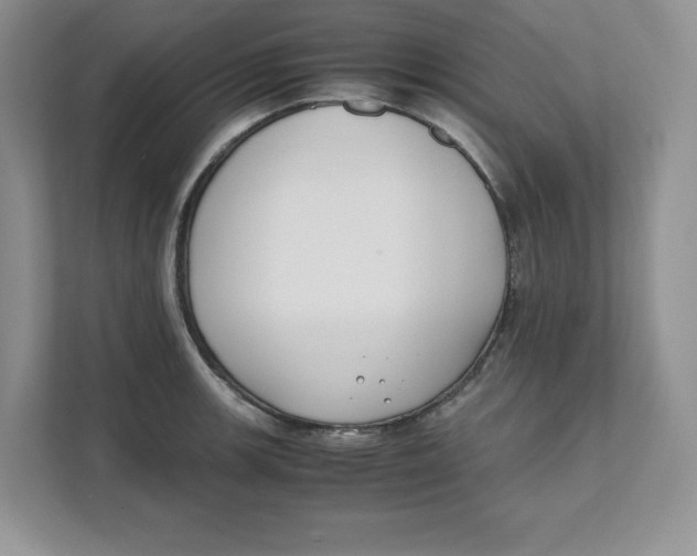 X0000111491139200908041137