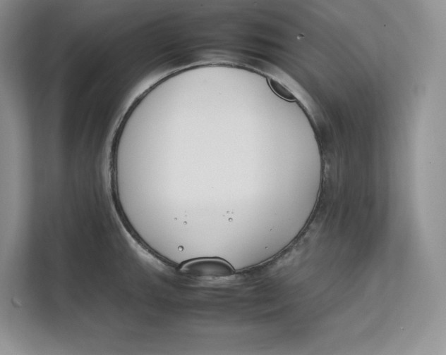 X0000111491143200908041137