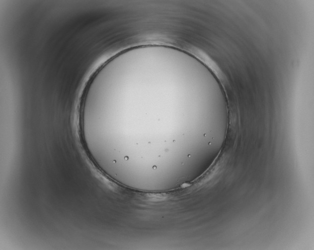 X0000111491144200908041137