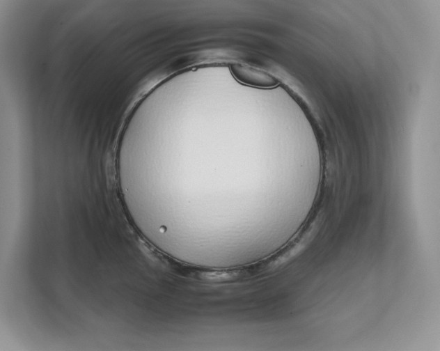 X0000111491145200908041137