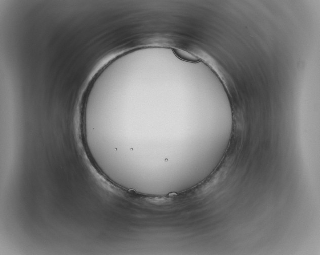 X0000111491147200908041137