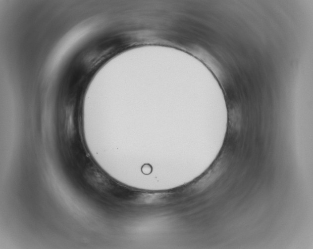 X0000111491150200908041137