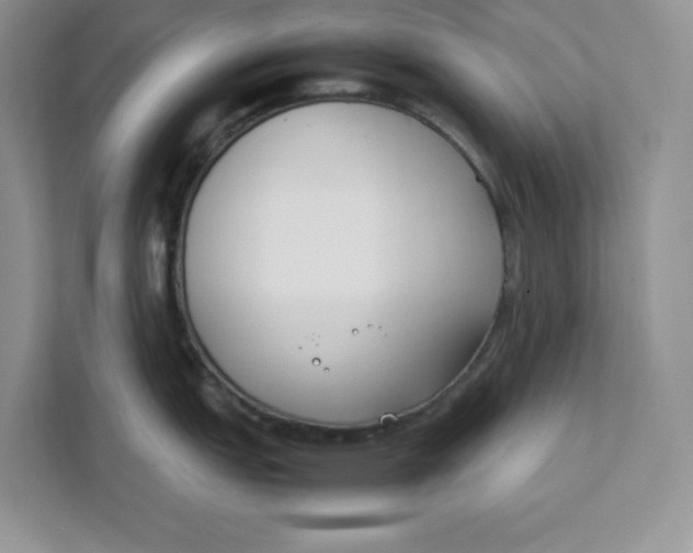 X0000111491151200908041137