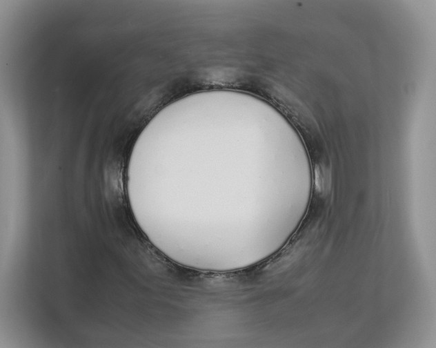 X0000111491155200908041136