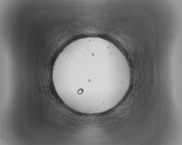 X0000111491157200908041136